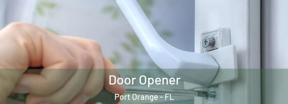 Door Opener Port Orange - FL